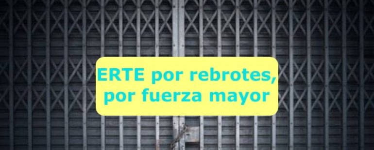 ERTE por rebrotes. Qué es y cómo te afecta