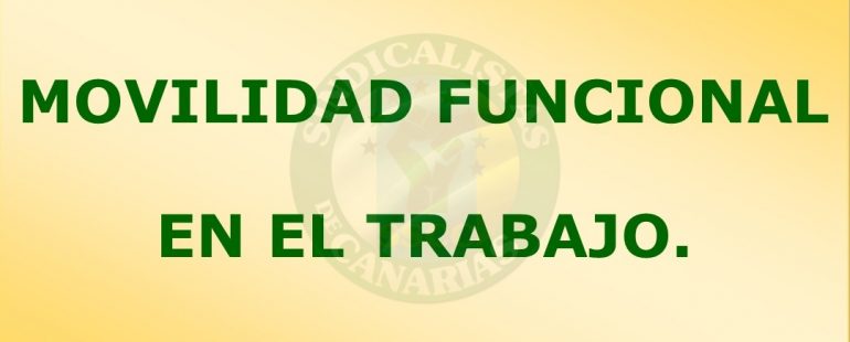 MOVILIDAD FUNCIONAL EN EL TRABAJO