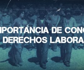 La importancia de conocer tus derechos laborales