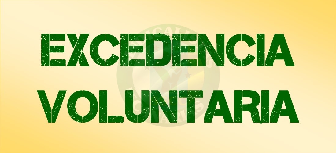 Excedencias. Tipos y dudas.